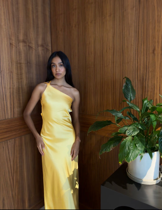 LEO ZODIAC DRESS