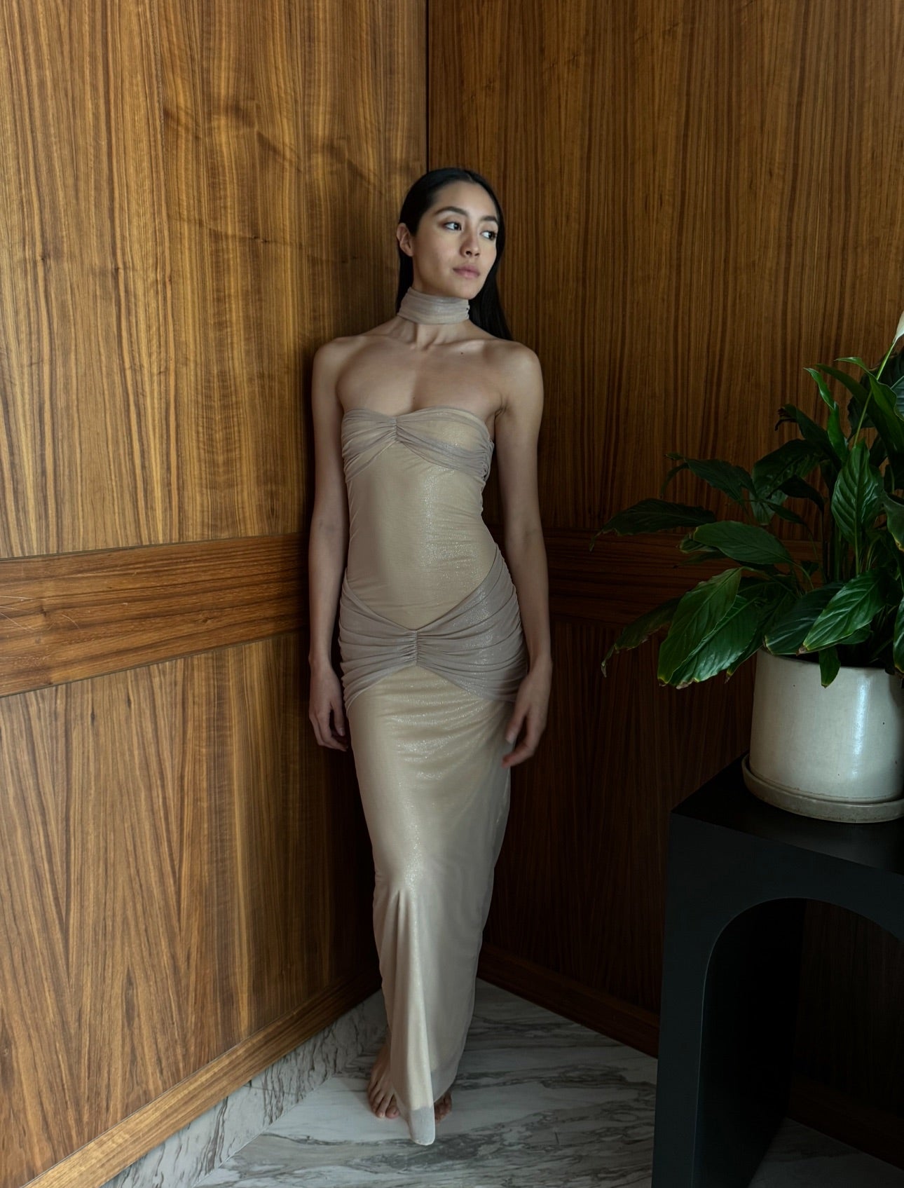THE GOLDEN DRESS