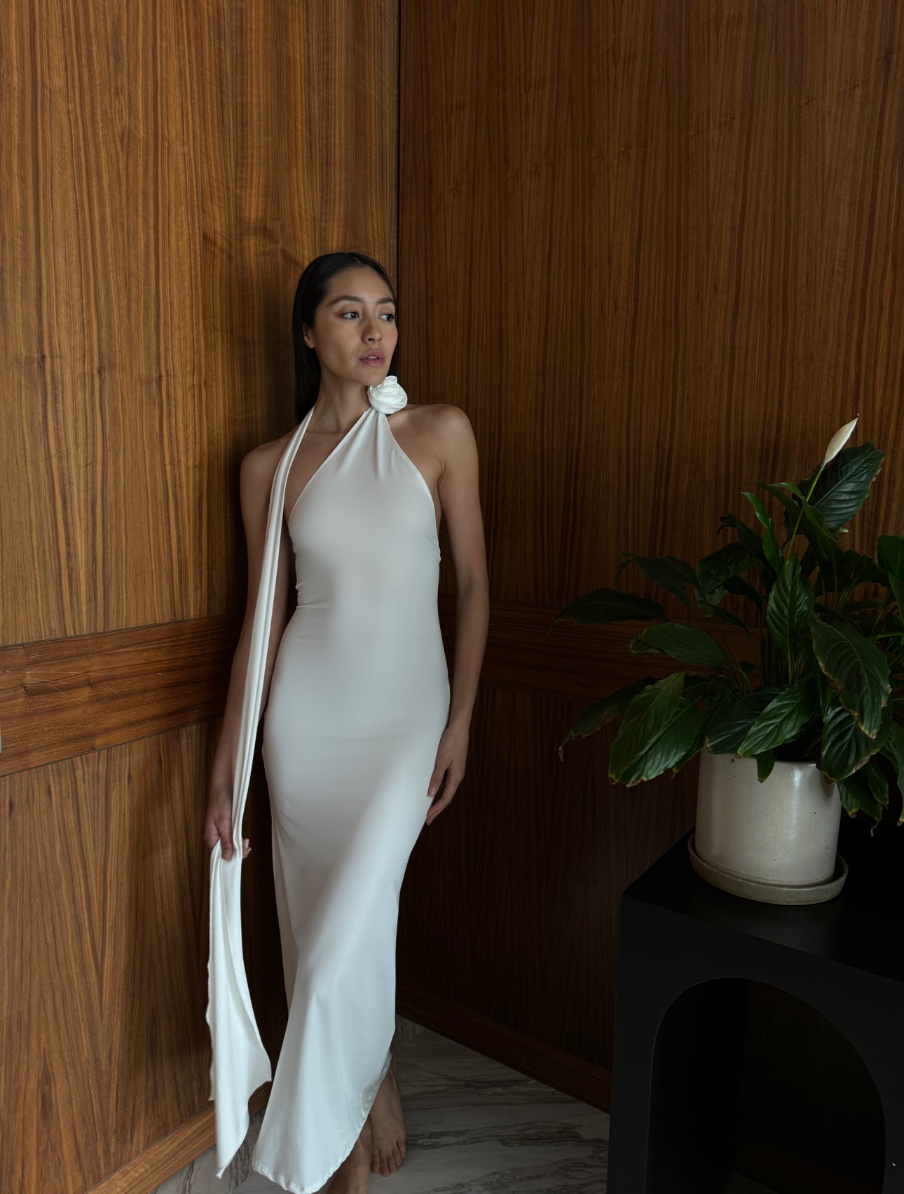 COCO DRESS